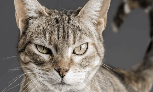 猝死在工位上赔多少钱-病人猝死在公司场地网 - 为你提供猝死在岗位上会赔钱吗、猝死在岗位上会赔钱吗