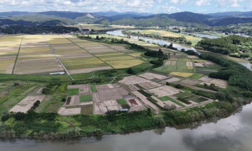 病人猝死在公司场地网 - 为你提供猝死在岗位上会赔钱吗、猝死在岗位上会赔钱吗
